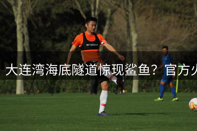 大连湾海底隧道惊现鲨鱼？官方火速打假：实为水泥结构无观景功能